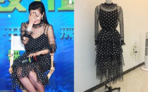Vintage-Inspired Black Polka Dot Sheer Mesh Dress